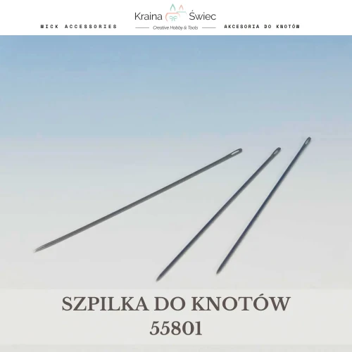 55801.webp