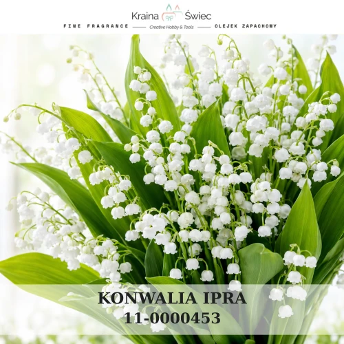 KONWALIA IPRA — olejek zapachowy do świec sojowych, parafinowych, wosków i tart zapachowych. Kraina Świec: dokumentacja CLP, IFRA, SDS. Surowce DIY dla profesjonalistów.