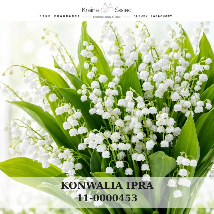 KONWALIA IPRA — olejek zapachowy do świec sojowych, parafinowych, wosków i tart zapachowych. Kraina Świec: dokumentacja CLP, IFRA, SDS. Surowce DIY dla profesjonalistów.