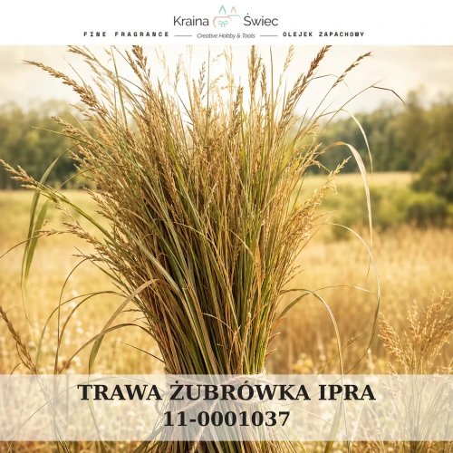 NA SIANIE, KOCHANIE IPRA — olejek zapachowy do świec sojowych, parafinowych, wosków i tart zapachowych. Kraina Świec: dokumentacja CLP, IFRA, SDS. Surowce DIY dla profesjonalistów.