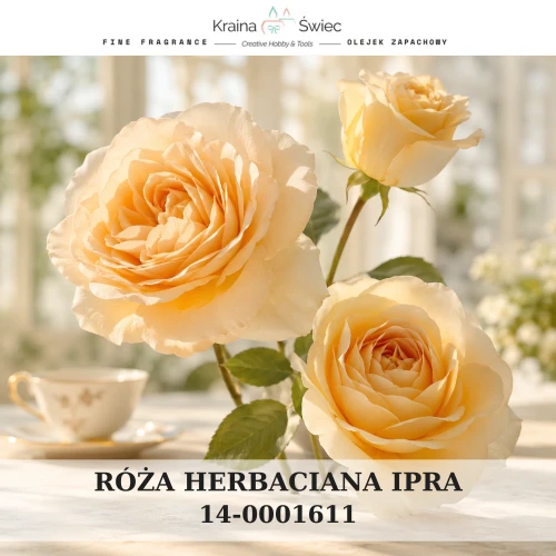 RÓŻA HERBACIANA IPRA — olejek zapachowy do świec sojowych, parafinowych, wosków i tart zapachowych. Kraina Świec: dokumentacja CLP, IFRA, SDS. Surowce DIY dla profesjonalistów.