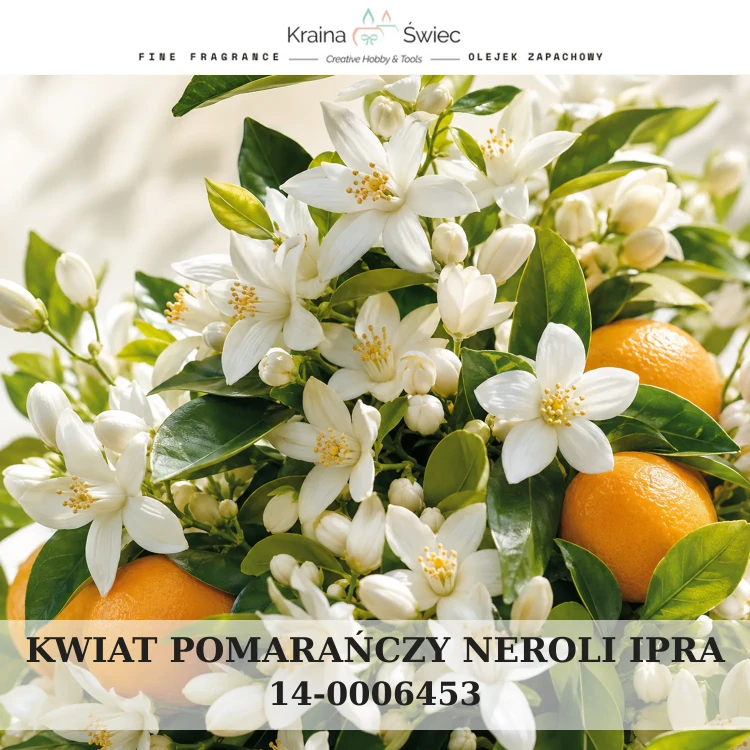 NEROLI IPRA — olejek zapachowy do świec sojowych, parafinowych, wosków i tart zapachowych. Kraina Świec: dokumentacja CLP, IFRA, SDS. Surowce DIY dla profesjonalistów.