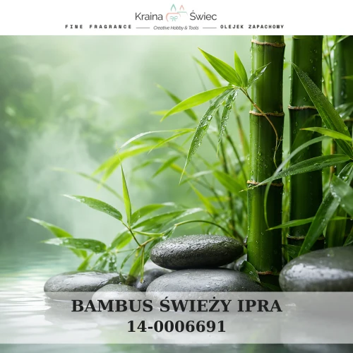 BAMBUS ŚWIEŻY IPRA — olejek zapachowy do świec sojowych, parafinowych, wosków i tart zapachowych. Kraina Świec: dokumentacja CLP, IFRA, SDS. Surowce DIY dla profesjonalistów.