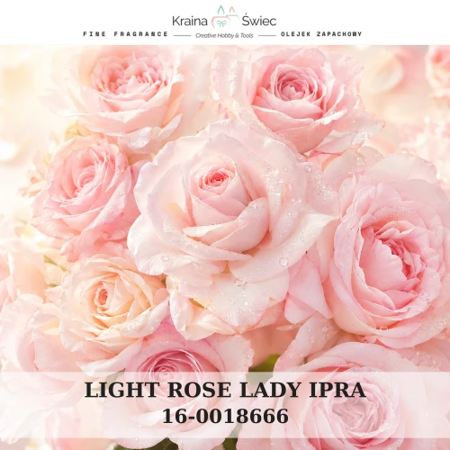 LIGHT ROSE LADY IPRA — olejek zapachowy do świec sojowych, parafinowych, wosków i tart zapachowych. Kraina Świec: dokumentacja CLP, IFRA, SDS. Surowce DIY dla profesjonalistów.