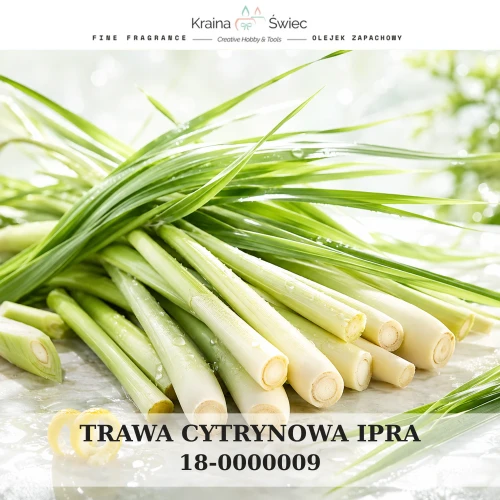 TRAWA CYTRYNOWA IPRA — olejek zapachowy do świec sojowych, parafinowych, wosków i tart zapachowych. Kraina Świec: dokumentacja CLP, IFRA, SDS. Surowce DIY dla profesjonalistów.