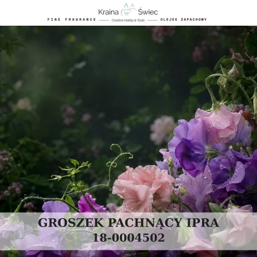 GROSZEK PACHNĄCY IPRA — olejek zapachowy do świec sojowych, parafinowych, wosków i tart zapachowych. Kraina Świec: dokumentacja CLP, IFRA, SDS. Surowce DIY dla profesjonalistów.