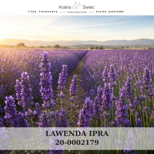 LAWENDA IPRA — olejek zapachowy do świec sojowych, parafinowych, wosków i tart zapachowych. Kraina Świec: dokumentacja CLP, IFRA, SDS. Surowce DIY dla profesjonalistów.