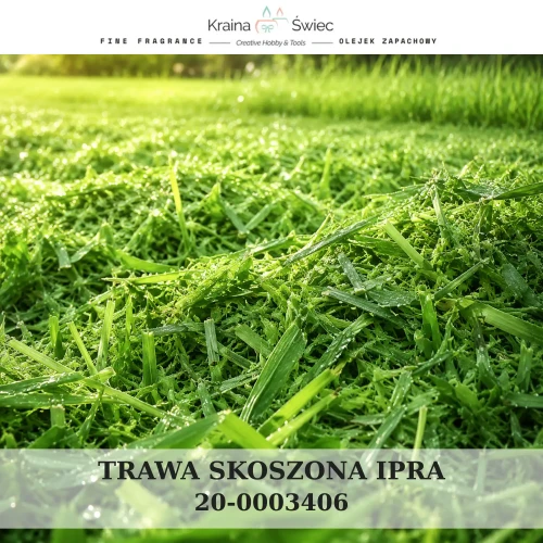 TRAWA SKOSZONA IPRA — olejek zapachowy do świec sojowych, parafinowych, wosków i tart zapachowych. Kraina Świec: dokumentacja CLP, IFRA, SDS. Surowce DIY dla profesjonalistów.