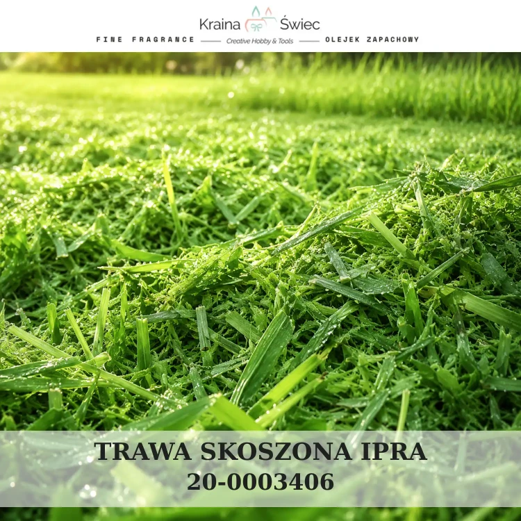 TRAWA SKOSZONA IPRA — olejek zapachowy do świec sojowych, parafinowych, wosków i tart zapachowych. Kraina Świec: dokumentacja CLP, IFRA, SDS. Surowce DIY dla profesjonalistów.