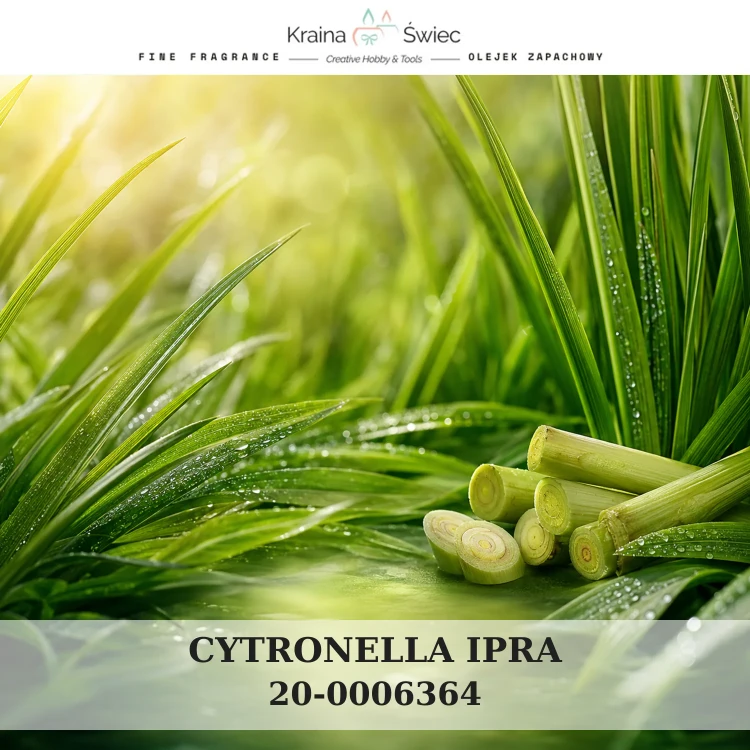 CYTRONELLA IPRA — olejek zapachowy do świec sojowych, parafinowych, wosków i tart zapachowych. Kraina Świec: dokumentacja CLP, IFRA, SDS. Surowce DIY dla profesjonalistów.