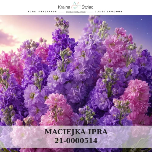 MACIEJKA IPRA — olejek zapachowy do świec sojowych, parafinowych, wosków i tart zapachowych. Kraina Świec: dokumentacja CLP, IFRA, SDS. Surowce DIY dla profesjonalistów.