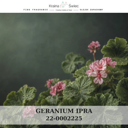 GERANIUM IPRA — olejek zapachowy do świec sojowych, parafinowych, wosków i tart zapachowych. Kraina Świec: dokumentacja CLP, IFRA, SDS. Surowce DIY dla profesjonalistów.