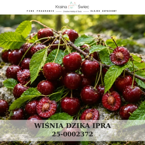 WIŚNIA DZIKA IPRA — olejek zapachowy do świec sojowych, parafinowych, wosków i tart zapachowych. Kraina Świec: dokumentacja CLP, IFRA, SDS. Surowce DIY dla profesjonalistów.
