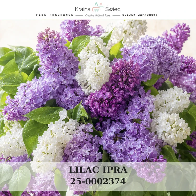 LILAC IPRA — olejek zapachowy do świec sojowych, parafinowych, wosków i tart zapachowych. Kraina Świec: dokumentacja CLP, IFRA, SDS. Surowce DIY dla profesjonalistów.