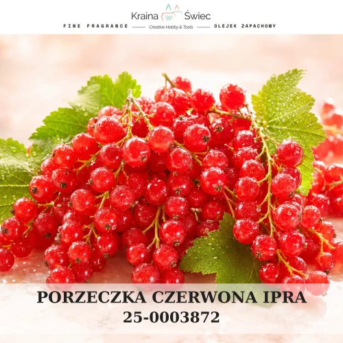 CZERWONA PORZECZKA IPRA — olejek zapachowy do świec sojowych, parafinowych, wosków i tart zapachowych. Kraina Świec: dokumentacja CLP, IFRA, SDS. Surowce DIY dla profesjonalistów.