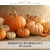 PERFECTLY PUMPKIN FCF — olejek zapachowy do świec, dyfuzorów, mydeł i kosmetyków. Kraina Świec: dokumentacja CLP, IFRA, SDS. Surowce DIY dla profesjonalistów.