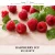 RASPBERRY FCF — olejek zapachowy do świec, dyfuzorów, mydeł i kosmetyków. Kraina Świec: dokumentacja CLP, IFRA, SDS. Surowce DIY dla profesjonalistów.