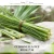 CITRONELLA FCF — olejek zapachowy do świec, dyfuzorów, mydeł i kosmetyków. Kraina Świec: dokumentacja CLP, IFRA, SDS. Surowce DIY dla profesjonalistów.