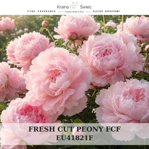 FRESH CUT PEONY FCF — olejek zapachowy do świec, dyfuzorów, mydeł i kosmetyków. Kraina Świec: dokumentacja CLP, IFRA, SDS. Surowce DIY dla profesjonalistów.