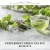 PEPPERMINT GREEN TEA FCF — olejek zapachowy do świec, dyfuzorów, mydeł i kosmetyków. Kraina Świec: dokumentacja CLP, IFRA, SDS. Surowce DIY dla profesjonalistów.