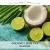 COCONUT LIME FCF — olejek zapachowy do świec, dyfuzorów, mydeł i kosmetyków. Kraina Świec: dokumentacja CLP, IFRA, SDS. Surowce DIY dla profesjonalistów.